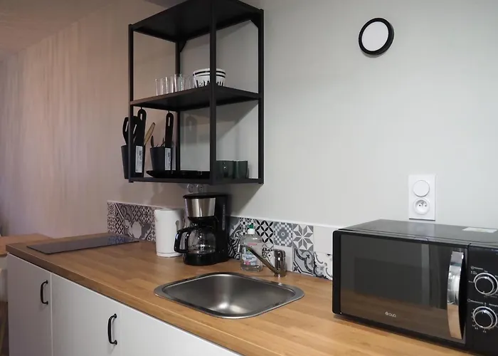Agréable studio aux rousses
